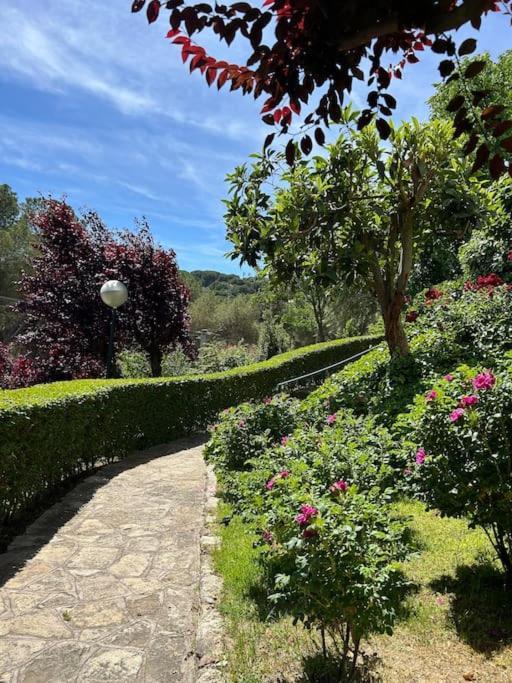 Apartamento De Lujo Vergel Suite San Martín de Valdeiglesias Extérieur photo